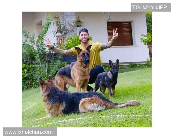 足球球星们宠爱的狗狗品种与名字大揭秘 足球球星们宠爱的狗狗品种与名字大揭秘